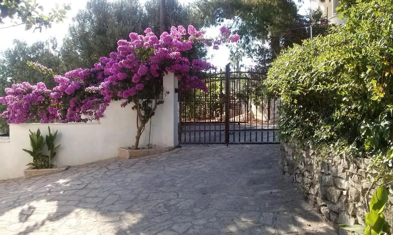 Apartment Apartmani Krizanac Donji Okrug